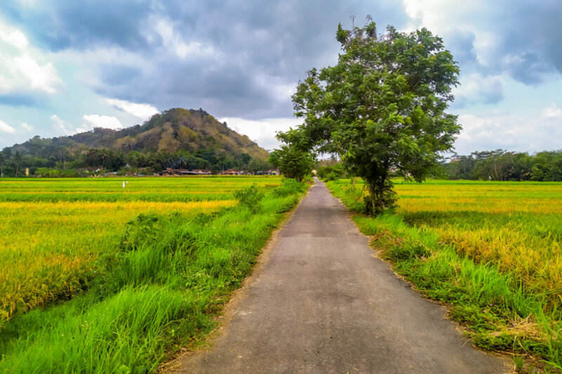 Yogyakarta: Kwagon Village Walk
